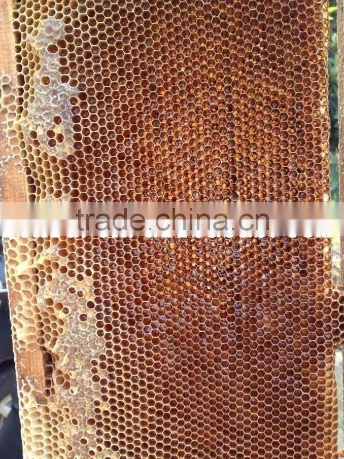 Hot sale cheap 4 frame honey extractor