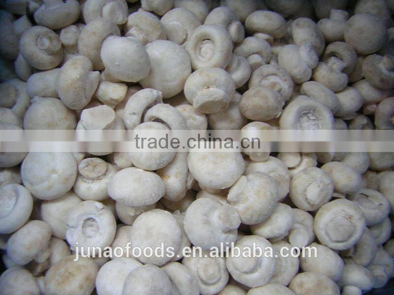 Greenhouse advanced production Cultivation greenhouses for mushroom