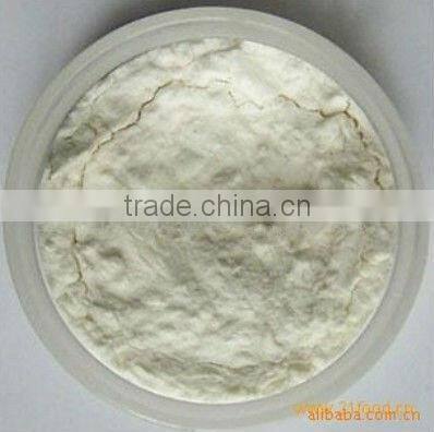 GMP manufacturer supply high quality and natural Garcinia Cambogia Extract Powder 50% 60% HCA