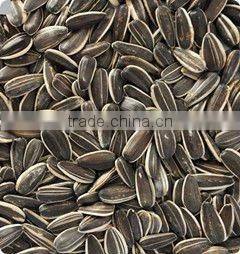 CCD sunflower seeds color sorter, get highly praise by customers
