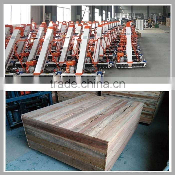 supreme quality 45 degree bucket elevator/conveyor for grain