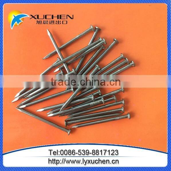Galvanized common nail/common iron nail factory manufacturer in China