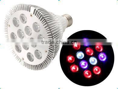 lights from plants to grow and plants with lights for those companies looking for partners