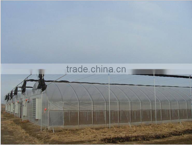 The Cheapest and Easily Installed Agricultural/ Commercial Green House