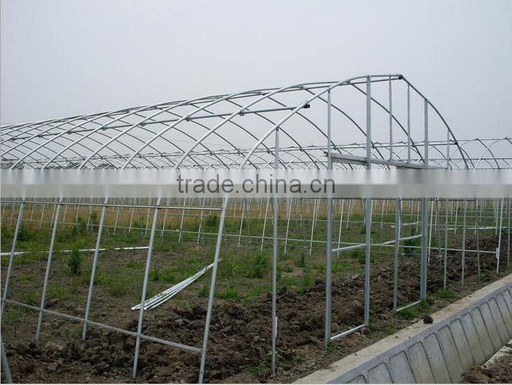 New style agricultural greenhouse for grawing vegetables