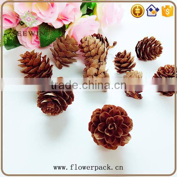 Pine nuts series of natural flowered bark engraving
