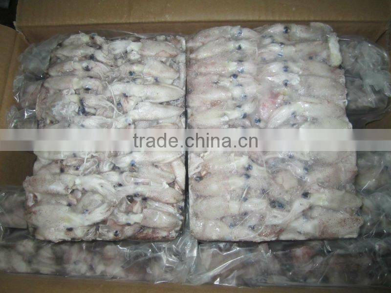 LATEST CATCHING CLEANED BQF Frozen Baby Squid