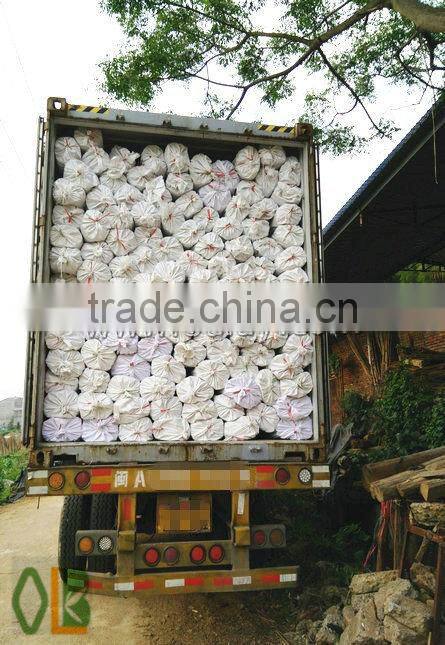 Nature Green Bamboo Poles