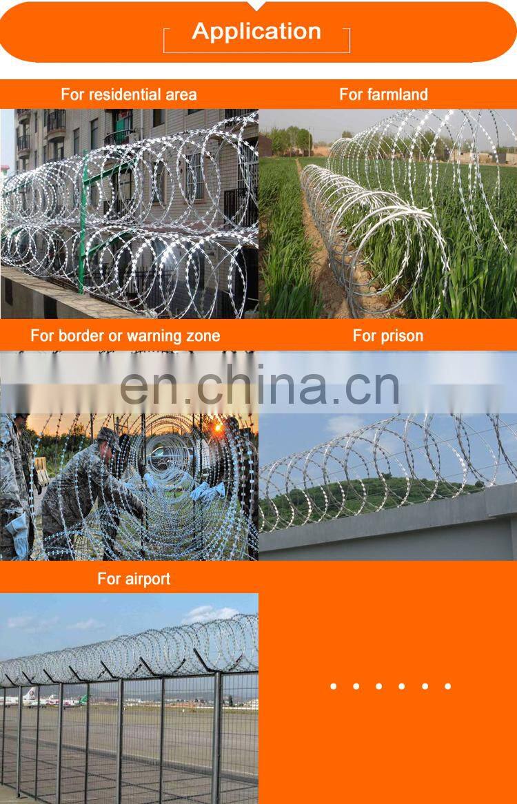 Best selling security wall spikes/ concertina razor barbed wire form China supplier
