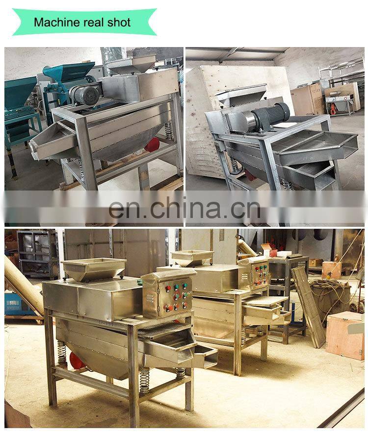 Hot Sale Automatic Peanut Crushing Almond Chopping Chestnut Cutting Machine Nut Dicing Chopper Machine
