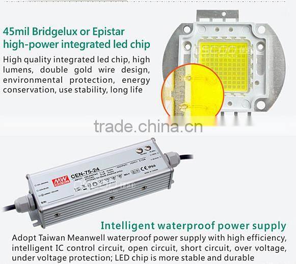 Oscoo Manufacturer Hot-Sale IP65 traditional gray/black light body 50W LED Light