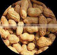 Peanut Shelling Machine/Peanut Sheller/Peanut Sheller Machine-- 15838349193