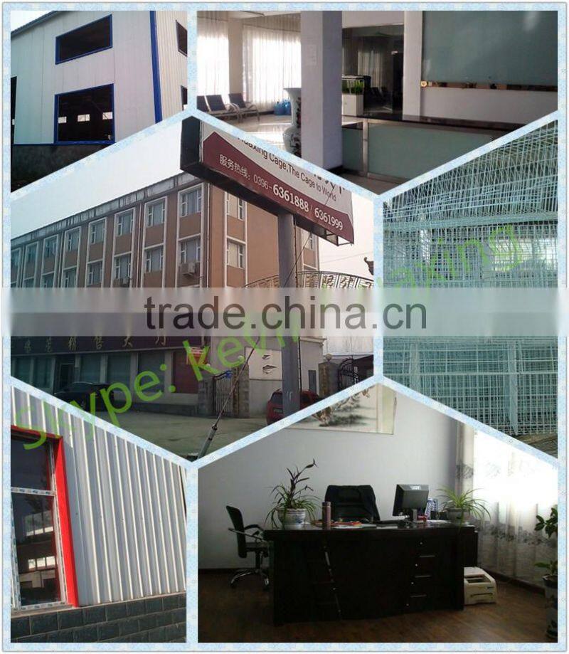 broiler battery cages with automatic system