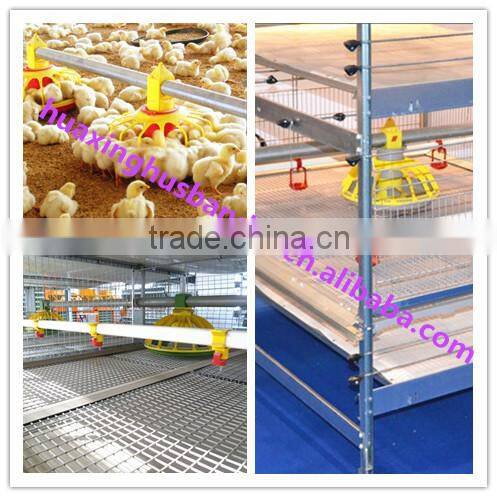 farm broiler feeding pan