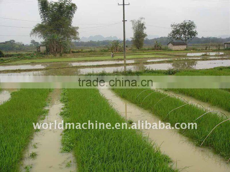 Whirlston High quality 6 Row Riding Type Rice transplanter from China