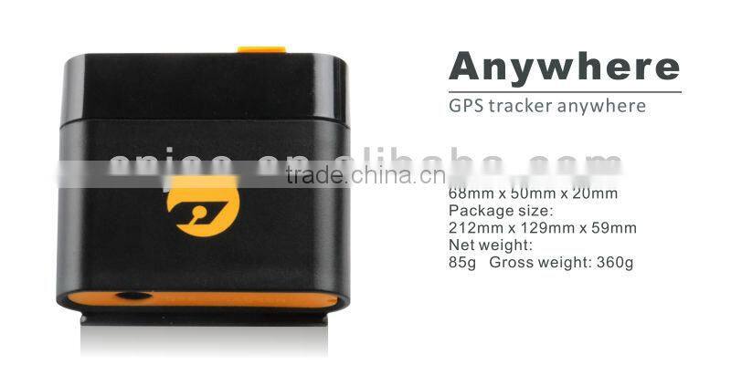 Global Smallest Chip GPS Tracking Animals Cats with Long Battery Alarm System and Pet Collar GPS Chips