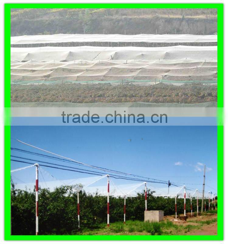 small mesh hail net, plastic prevent bird netting