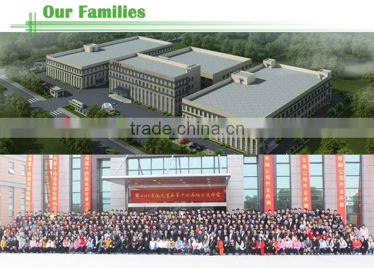 Vinyl Decorative Vinyl Temperature Sticker