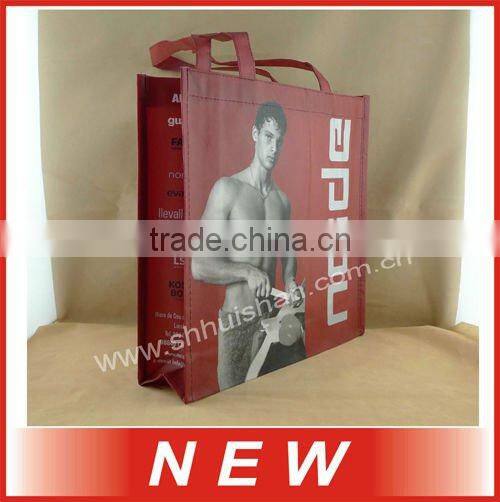 2012 Eco-friendly Non-woven bottles of bag