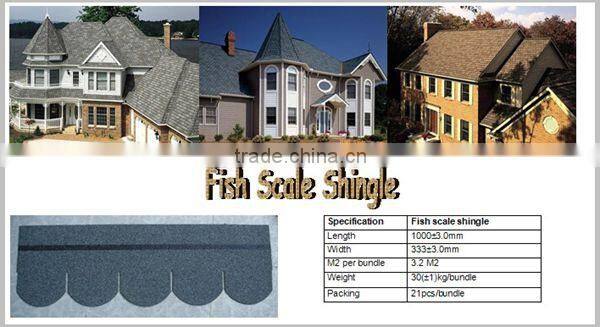 SGB fish scale asphalt shingle for roof materials