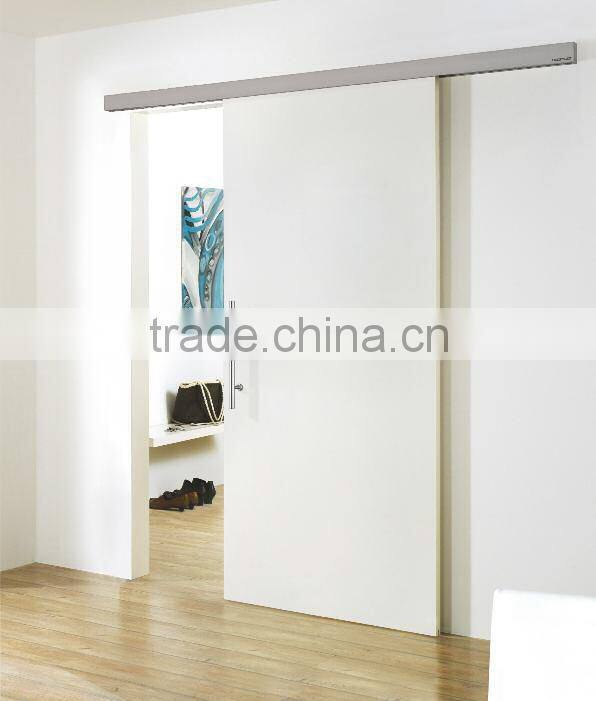 Artistic Partition Wall Wooden Sliding Door , Dressing Room Sliding Door