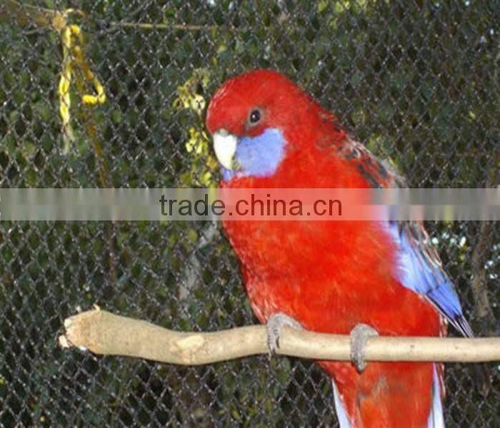 ss304 stainless steel cable net for aviary