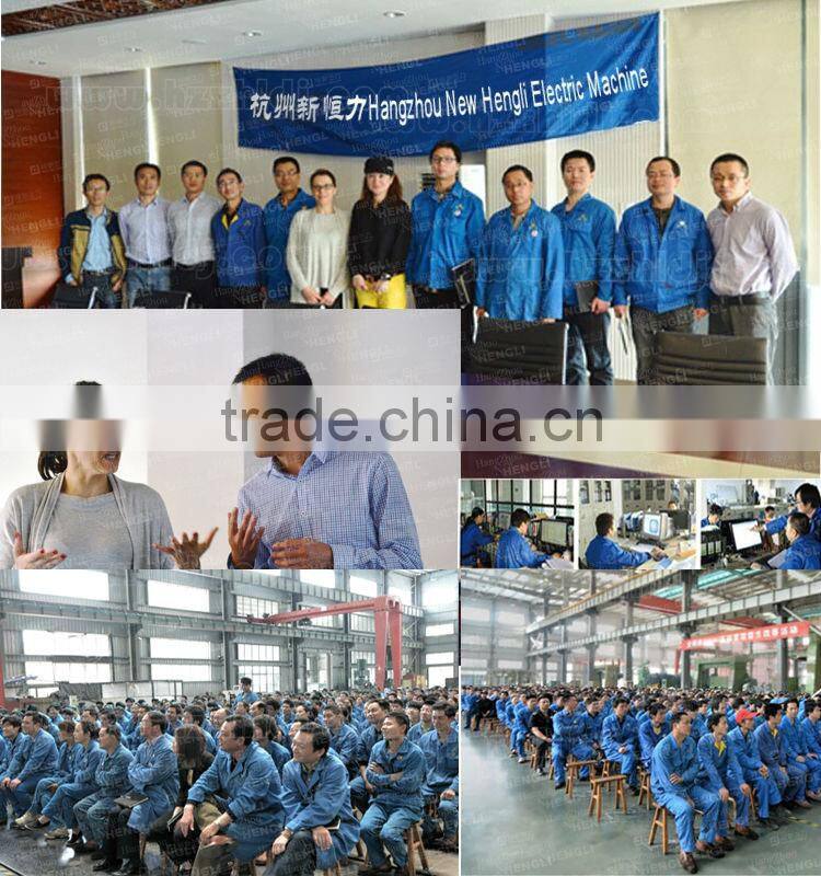 china top ten selling products industrial sewing machine electric water pump motor screw conveyor