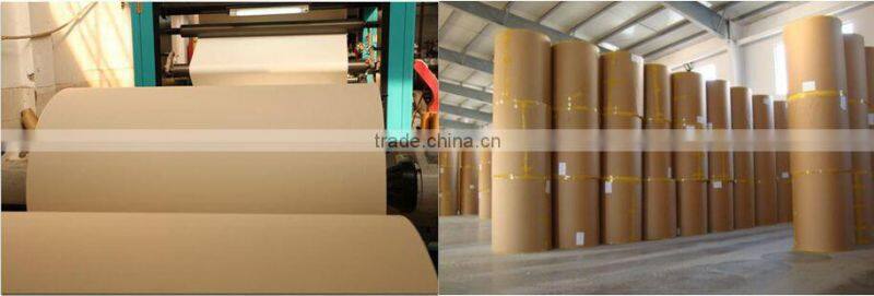 china food grade pe coated paper