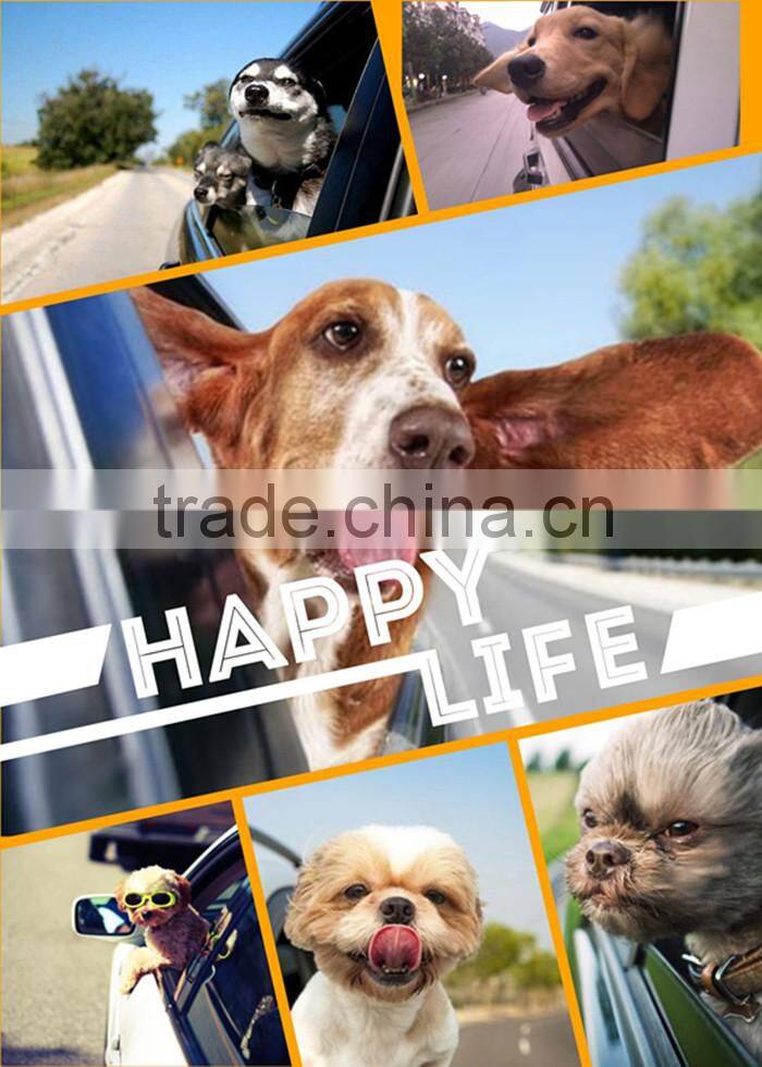 Pet car mat in the back seat waterproof and scratch resistant dirty Oxford PVC coating exports (including side platens) 001#