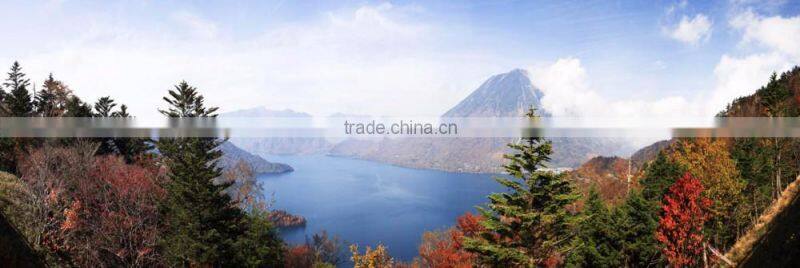 CS01 High Quality Famous Modern Home Decoration Canvas Oil Painting