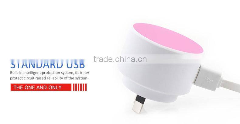 Fashion Mini Australia Standard High Speed USB Charger for Mobile Phone