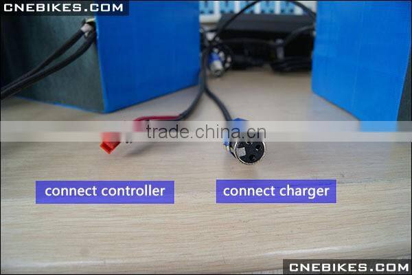 48v 20Ah LiFePo4 battery pack for high power ebike