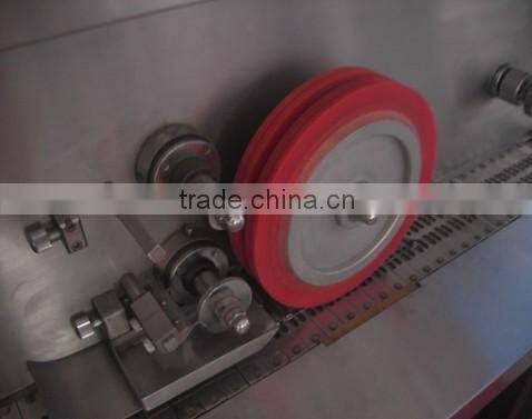 CE Certified GMP Standard YSD-80 Double Color empty Capsule Printer