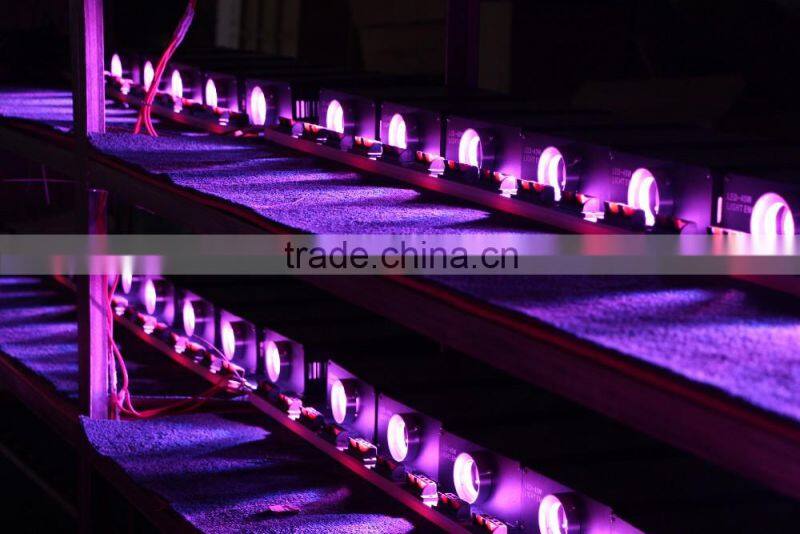 newly design resonable price fiber optic light box