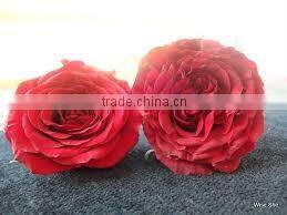 ROSE POWDER FOR AYURVEDIC REMEDY