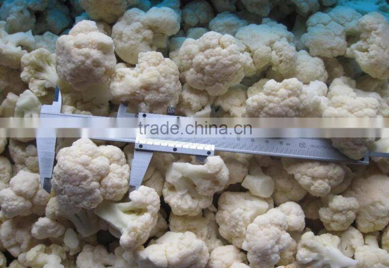 Frozen Broccoli Exporter