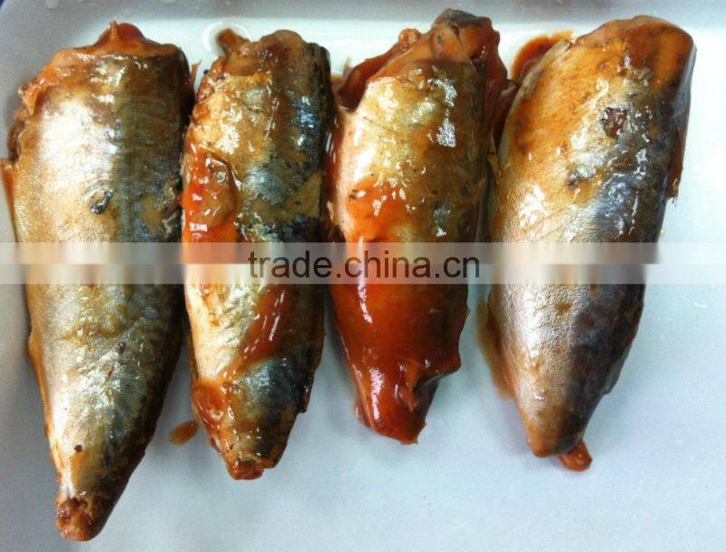 Horse mackerel canned in vegetable oil and mackerel in brine