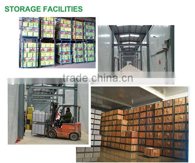 2016 Huaniu apple Fresh apple China Gansu Tianshui Huaniu apple