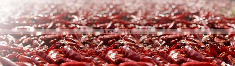 Whole Sale Bulk Spice Bird's Eye Chilli