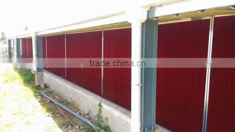 U-best automatic chicken equipment