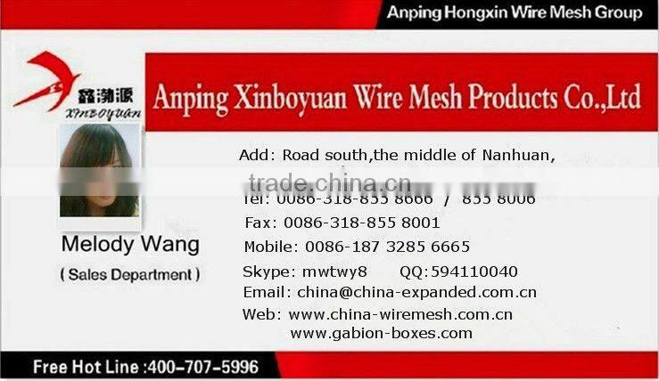Hot-dipped Galvanized wire rope mesh/SNS protective mesh