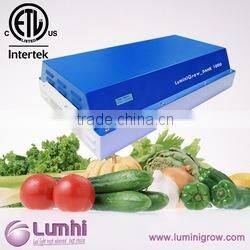 Factory direct sale 5000w led grow light