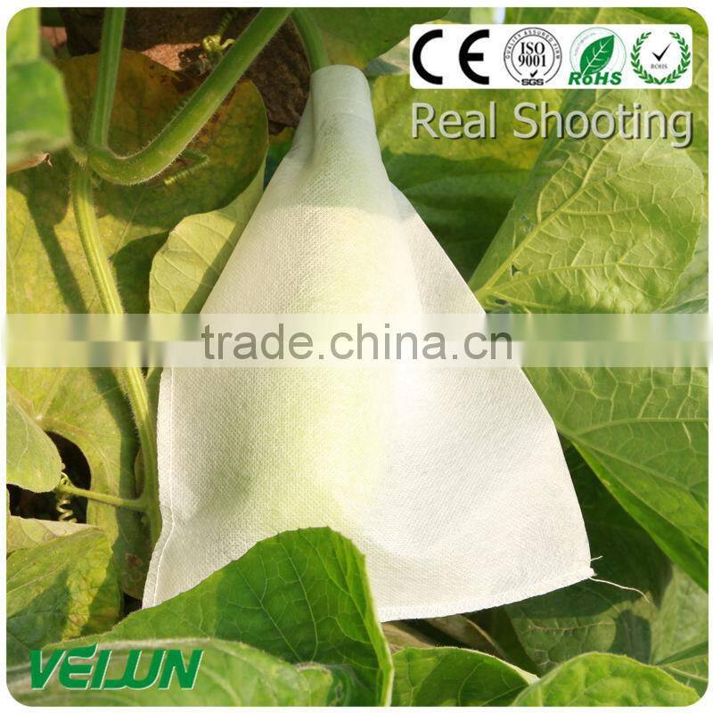 nonwoven fruit cooler bag