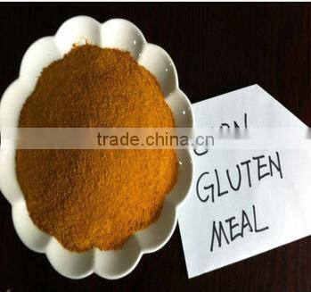 corn gluten meal high protein for feed manufacturer