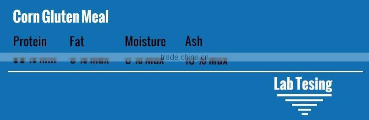 Yellow Corn Gluten Meal 65 Protein