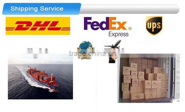 Transparent rechargeable Table Lamp