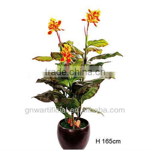 GNW G85 tropical tree plant larger pot home decoration hot sell
