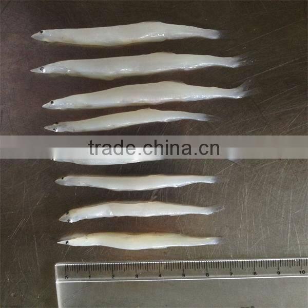 silver fish and well export of frozen fish
