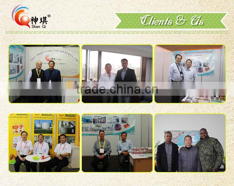 Vaccum bag pack yeast saccharomyces cerevisiae10g to 20kg China supplie