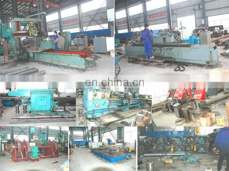 5T to 100T Marine Platform Offshore Crane
